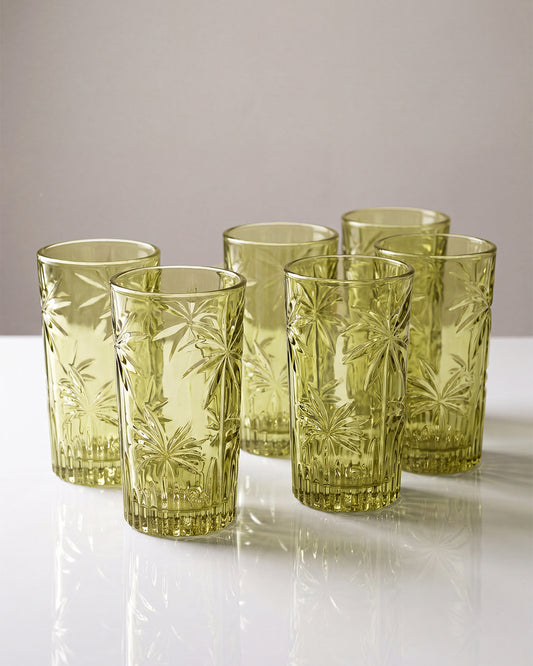 Palm Citron Tumblers Bundle (Set of 6)